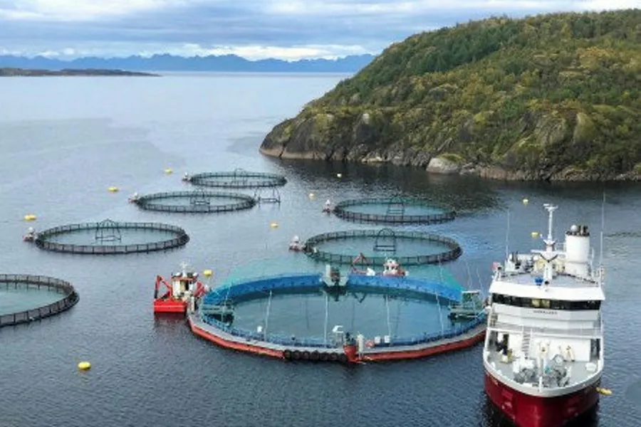 Én av de største lakseprodusentene i Nord-Norge, Cermaq, er eid av japanske Mitsubishi Corporation.
