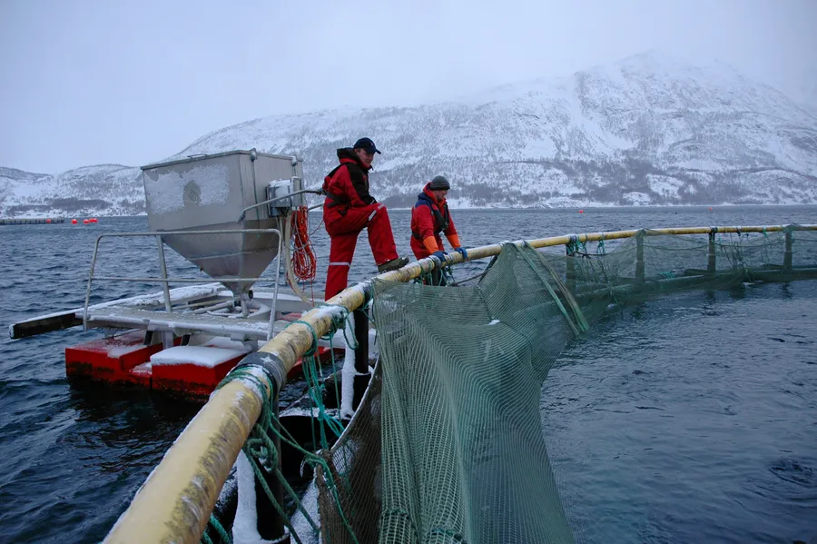 Røkteren er den som er tettest på fisken. Hvordan skal han/hun tilpasse seg den rivende teknologiske og digitale utviklingen, og hva blir røkterens rolle i framtiden?