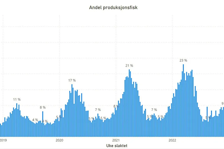 Mengde produksjonsfisk er økende.