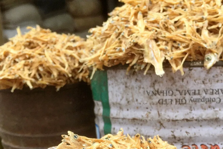 Tørket pygmesild på markedet i Accra, Ghana. Denne ferskvannsarten lever knapt ett år og formerer seg raskt med samme omsetningshastighet som zooplankton.