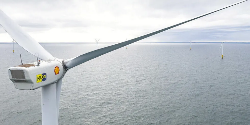 A Shell wind farm off the Netherlands.