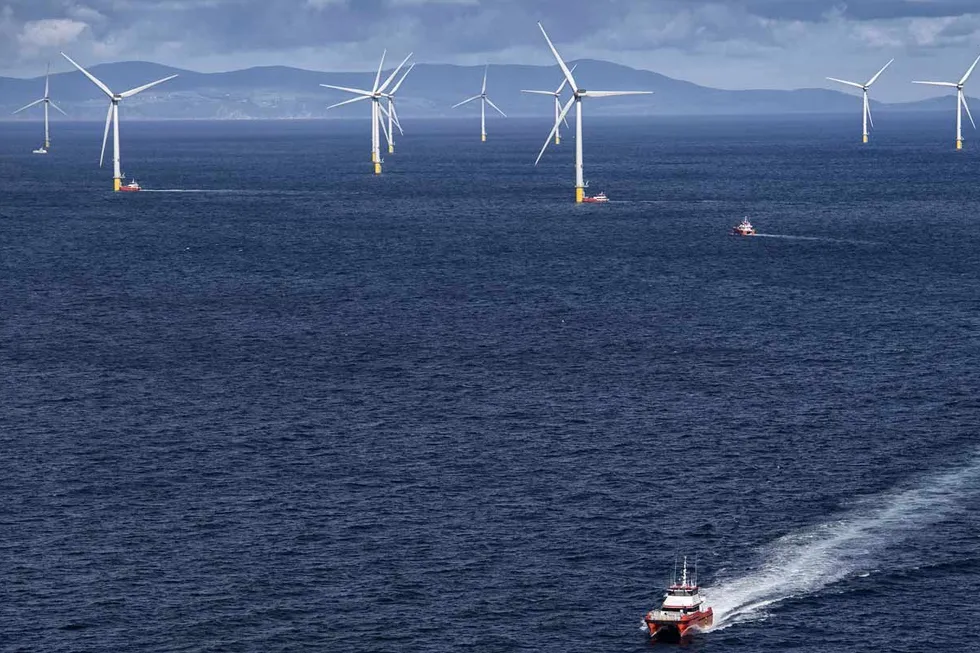 Orsted's 659MW Walney Extension in the Irish Sea, which modelling commissioned by the Danish developer shows could be the worst hit by wind wakes from newcomer projects.