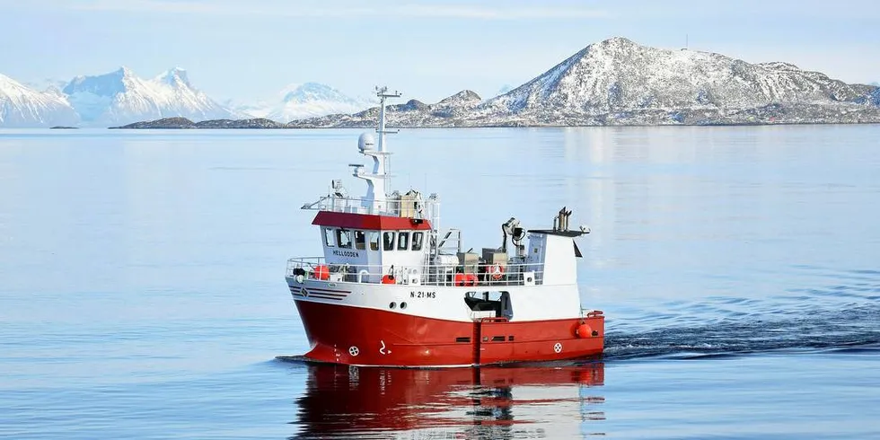 BLIR: «Hellodden» nylig fotografert på et blankstille lofothav. Der blir båten ennå en tid framover, så lenge det er fisk å få.Foto: Frode Adolfsen