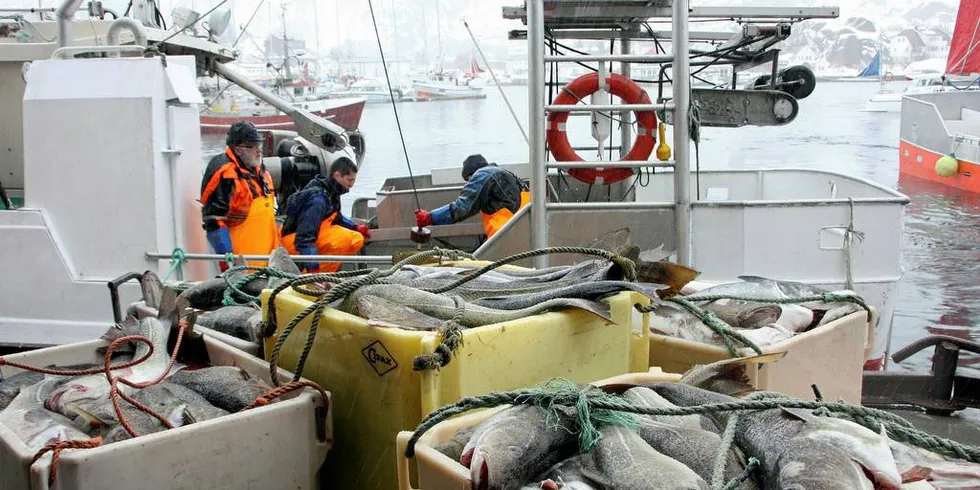 FERSKFISK: Norges Råfisklag ønsker å forsøke ferskfiskauksjoner, noe som er en naturlig videreføring av dagens dynamiske minstepris.Foto: Terje Jensen