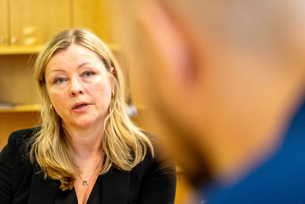 – Jeg er enig med DN i at manglende salg av nye boliger er en hovedforklaring på den lave aktiviteten, skriver Kjersti Stenseng (Ap), kommunal- og distriktsminister.