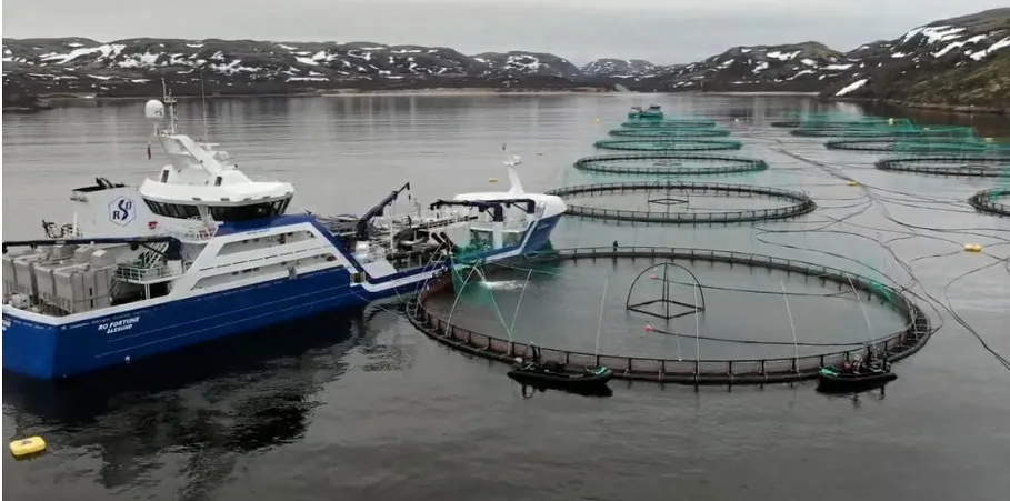 Norsk brønnbåt ved lakselokalitet i Nordvest-Russland