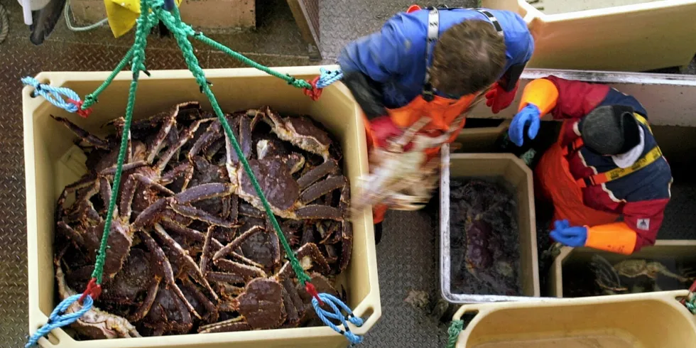 The Norwegian Directorate of Fisheries believes that the number of vessels will increase significantly in this year's king crab fishery.