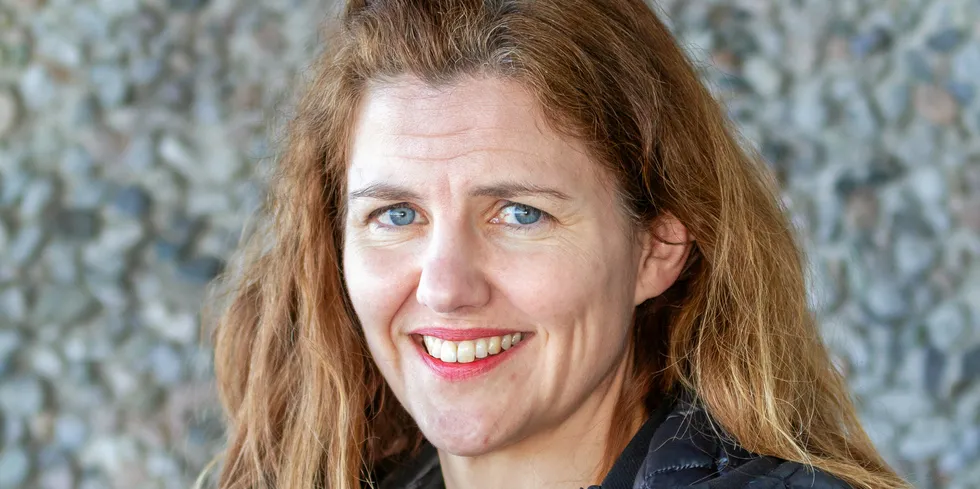 Inga Kathrine Johansen Nordberg, direktør i NVE.