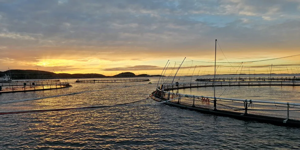 Joda, en oppdrettslokalitet kan være vakker den.