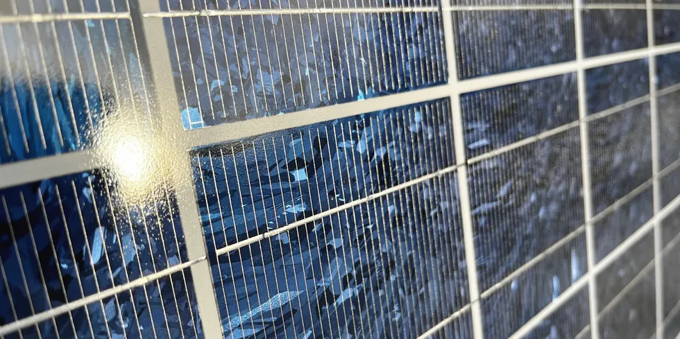 Stor utbygging av solenergi i Europa fører til at det i perioder produseres mer strøm enn det er behov for. Lørdag får Nederland priser helt ned i minus 1,16 kr/kWh. Det smitter over til resten av Nord-Europa.