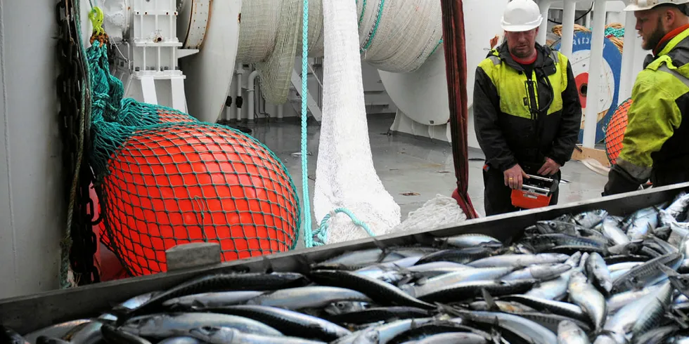 BEDRE FANGSTPRØVER: Havforskningsinstituttet vil sikre seg at de får bedre og mer representativt utvalg av fangstprøver fra fiskebåtene.