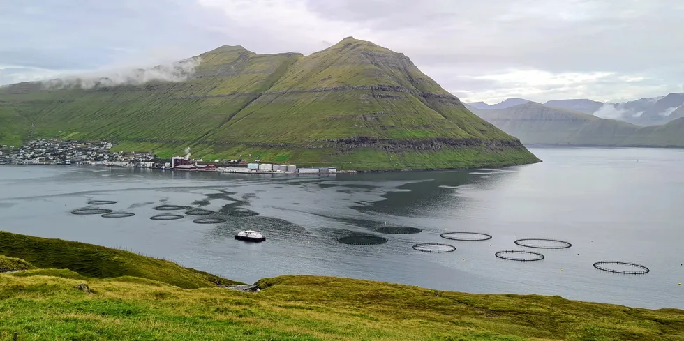 Fôrfabrikken Havsbrun ligger i Fuglarfjord på Færøyene. I forgrunnen er et av Bakkafrosts oppdrettsanlegg.