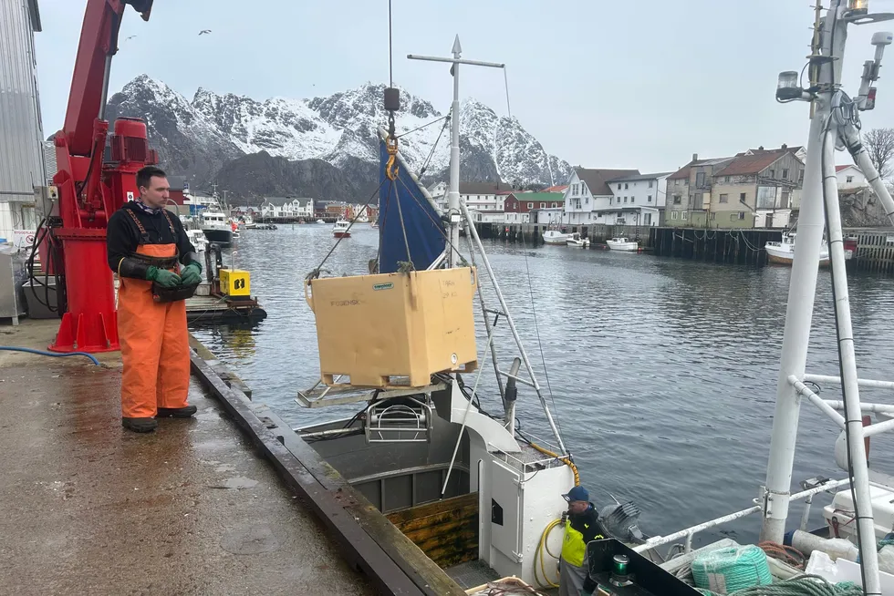 Tommy Olsen, skipper på «Olsen Junior», losser sei og torsk ved Jangaards mottak i Henningsvær fredag. Fiskeren fra Ørland synes det er på tide at seien får seg et løft.