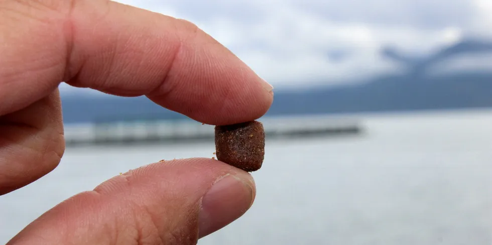 Fiskefôr. Slike pellets er det laksen får servert i mærene.