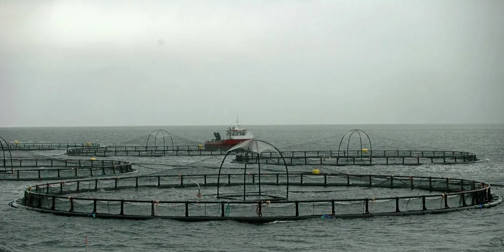 KOMMER SNART: I løpet av denne uken vil NFD offentliggjøre hvilken farge hvert av de 13 produksjonsområdene for oppdrettslaks får.Illustrasjonsfoto: Agnar Berg