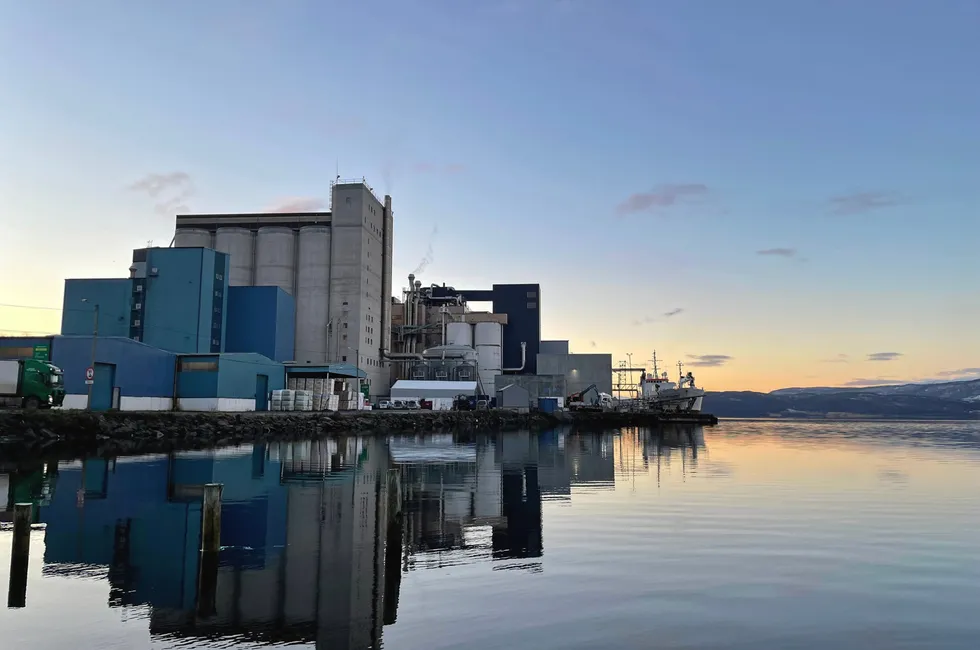 Trangt om plassen ved Bergneset i Balsfjord, her med Cargill sitt anlegg i bakgrunnen.