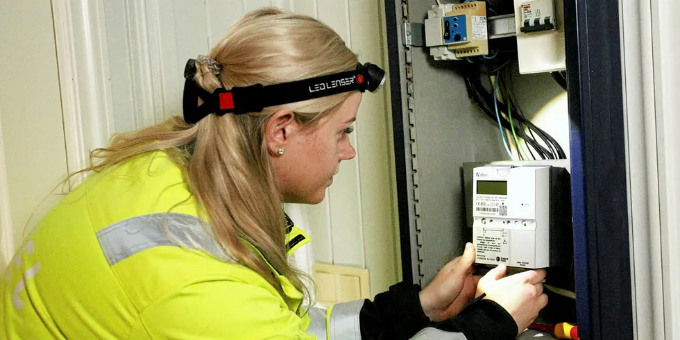 Statsråden mener det blir for mye styr for nettselskapene å måtte tilby egne AMS-målere til leietagere i næringsbygg.