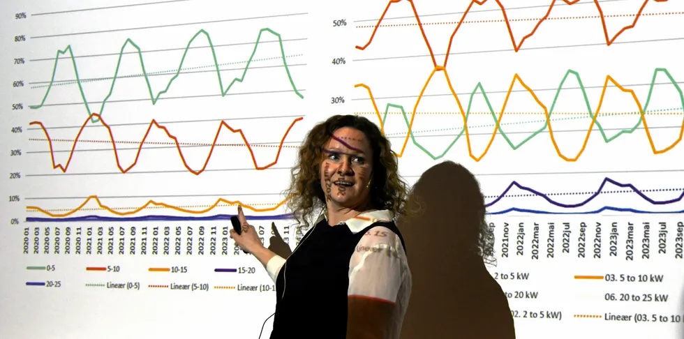 Kjersti Vøllestad fra Elvia var blant aktørene som holdt innlegg på onsdagens nettleieseminar.