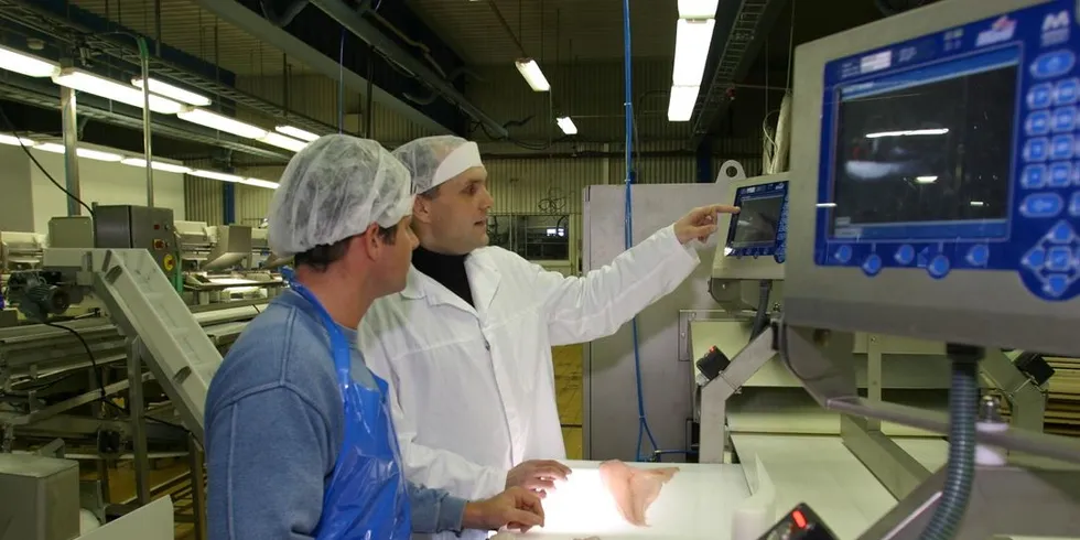 Island eksporterer fisk og fiskeriteknologi som denne automatiserte filetlinje fra Marel. Foto: Fiskeriforskning