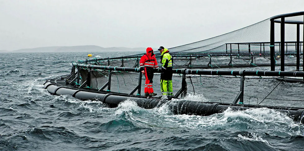 ALVORLIGE ULYKKER: I 2018 var det 39 alvorlige ulykker i havbruksnæringen. Det bekymrer.