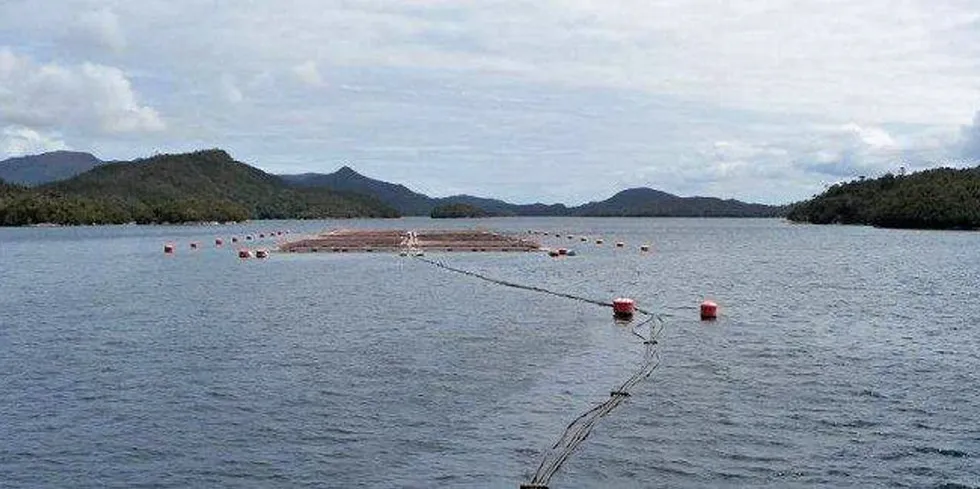 ISA disease has been confirmed at a Yadran salmon site in Chile.