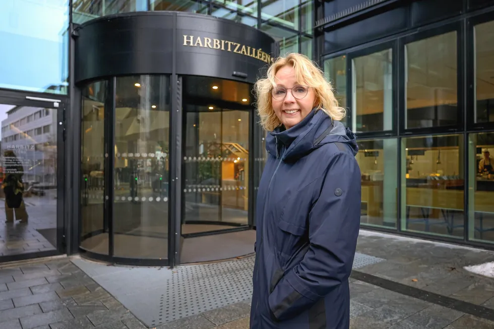 Hafslund Kraft-topp Kristin Lian går inn i styret til Fornybar Norge.