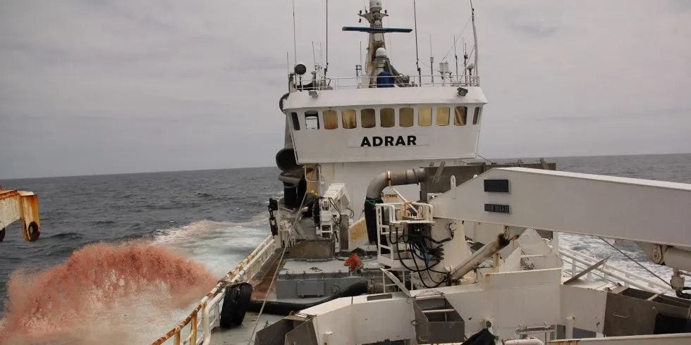 ”Adrar”, tidligere "Bømmelbas" dumper fisk utenfor Dakhla i Vest-Sahara juli 2013.