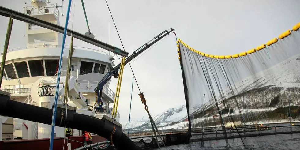 På sikt er målet med det nye prosjektet å få frem et produkt som kan brukes i merden for å si noe om hvor tett fisken står.Foto: Anders Furuset/IntraFish