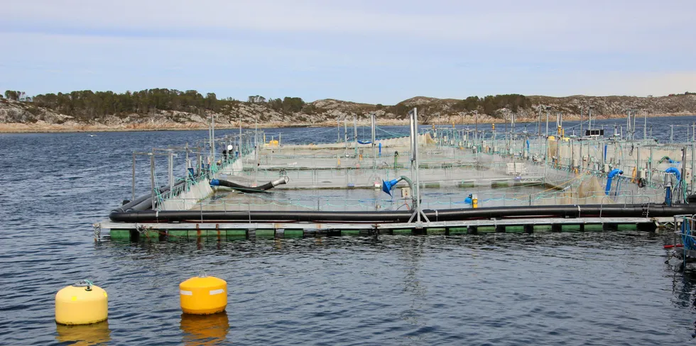 Ventemerder utenfor Salmar-anlegget Innovamar på Frøya. Illustrasjonsfoto.