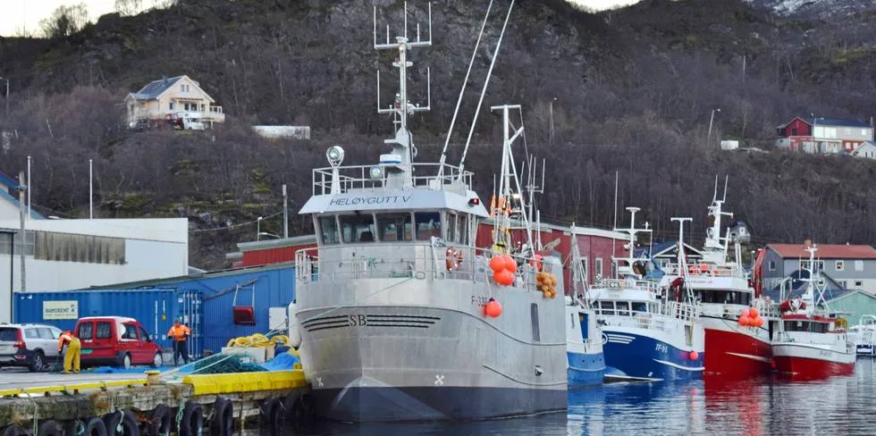 «Heløygutt V» er en av mange såkalte «paragrafbåter» som i lengde er under 11 meter. Disse båtene kjennetegnes ved at de er svært høye, dype og brede, bygget for å kunne få plass til mest mulig fisk.