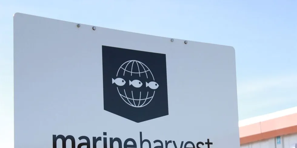 Marine Harvest har klaget eksportavgiften for fisk inn for Efta-domstolen.