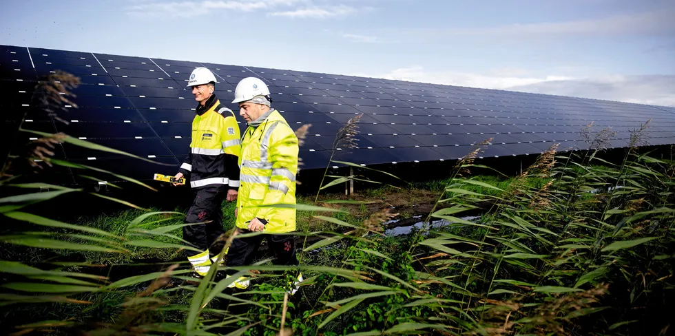 Statkrafts solcellepark utenfor Emmen i Nederland.