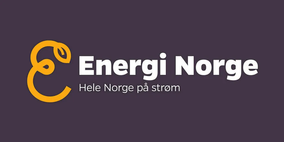 Dette er den nye logoen til Energi Norge.