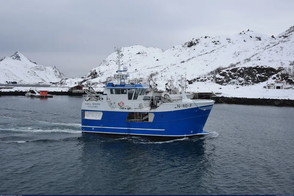 Garnbåten «Kjell Senior» fra Napp har fisket 120 tonn sei hittil i vinter. Nå er skreien på plass på heimhavet, og mannskapet er omsider i gang med torsken.