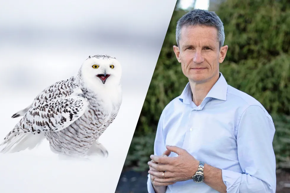 Snøugle og Truls Gulowsen i Narurvernforbundet