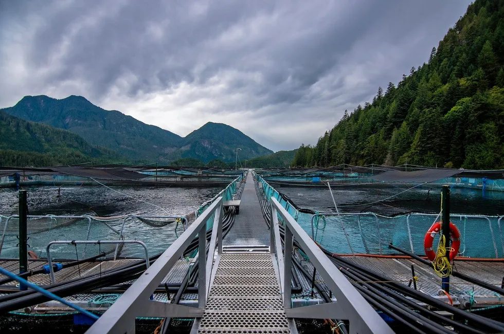 Et Grieg Seafood-anlegg i British Columbia, Canada.