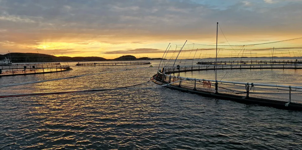 Illustrasjonsfoto fra oppdrettslokalitet.