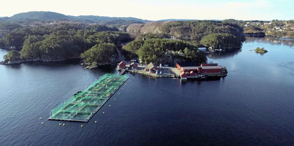 HIs sjøanlegg på Sauganeset i Austevoll skal byttes ut.