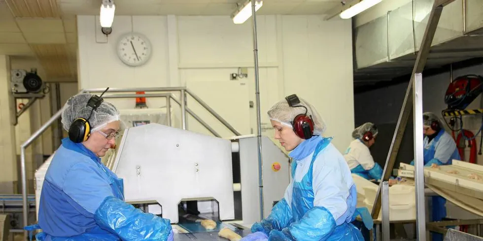 OK ÅR: Lerøy Norway Seafoods filetproduksjon er viktig for Lerøy, og konsernsjef Henning Beltestad har tro på at 2018 vil bli et godt år. Foto: Terje Jensen