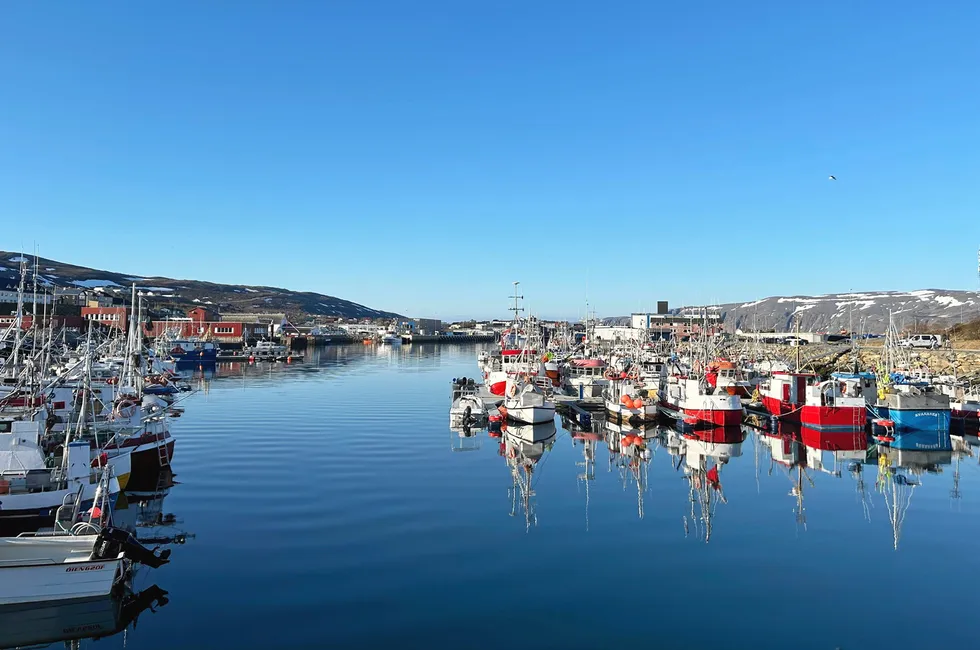 Finnmark Senterparti er bekymret for fallet i fiskelandinger i Nord-Troms og Finnmark, som har store konsekvenser for bosetting og rekruttering. Bildet viser Båtsfjord havn i fjor sommer.