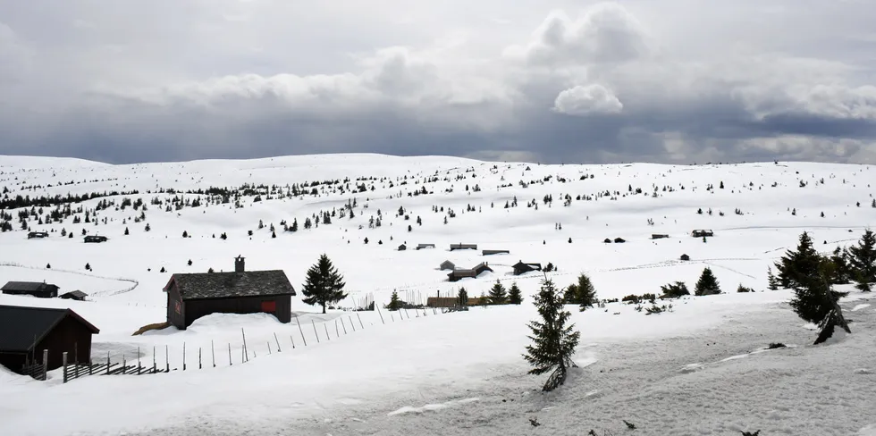 Alle kundene til Hemsedal Energi er uten strøm torsdag ettermiddag.