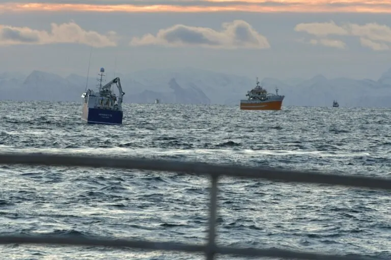 Bildet viser «Ballstadværing» (i gult), som fisker med snurrevad.