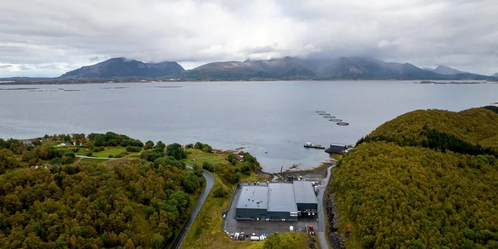 Akvagen er et av fire selskap som har fått varsel fra Mattilsynet. Her fra deres anlegg utenfor smittesonen, i Steigen kommune i Nordland