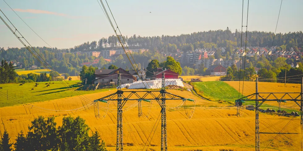Prisene på strøm har vært rekordhøye i sommer, og mye tyder på at strømprisen vil forbli høye i lang tid. Her ser vi kraftledninger ved gård på Skedsmokorset.