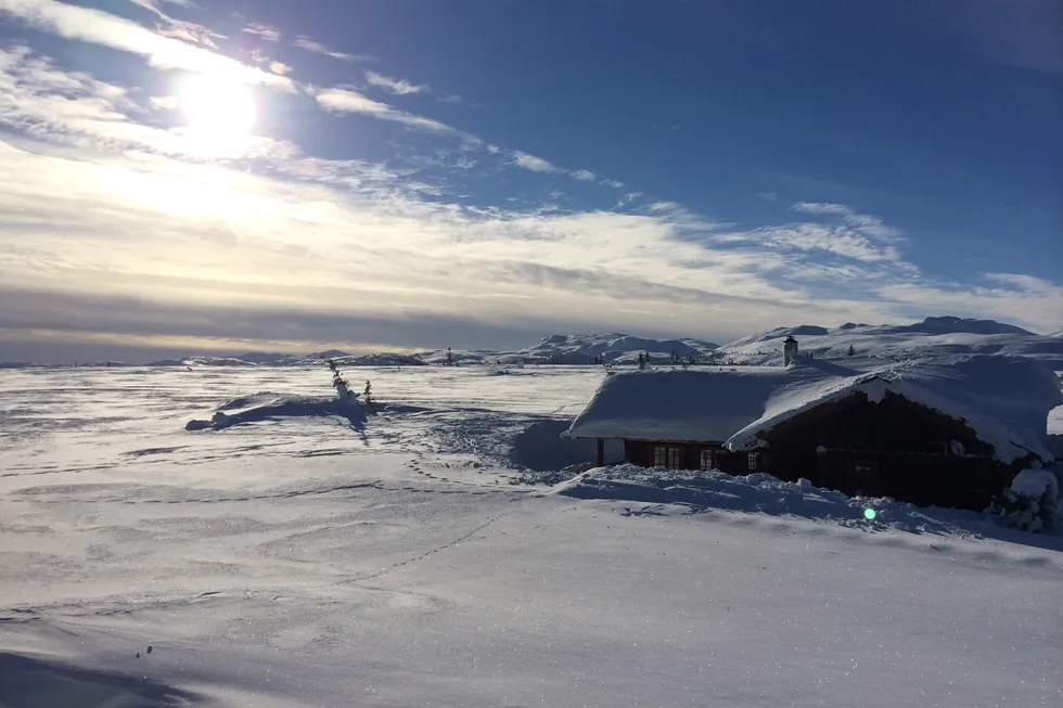 Konkursen for hytteutbyggeren Drømmehytta på Veggli i Numedal kan fungere som et signal til samfunnet, skriver by- og arealplanlegger. Illustrasjonsfoto fra Veggli.