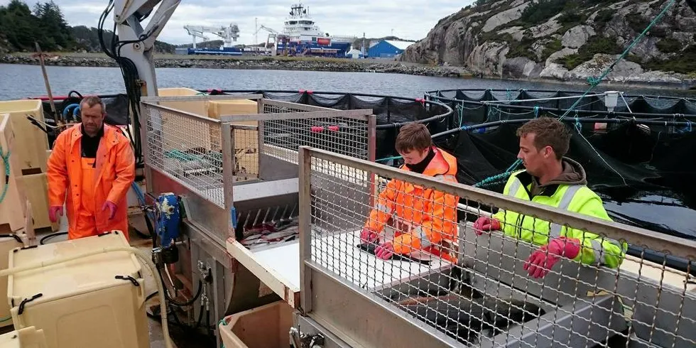 FOR LITEN: De to første årene gikk bra, men siden har seien vært for liten for markedet. på bildet er Ernst Rong (t.v.) med to ungdommer som prøver seg i fiskeryrket.Foto: Privat