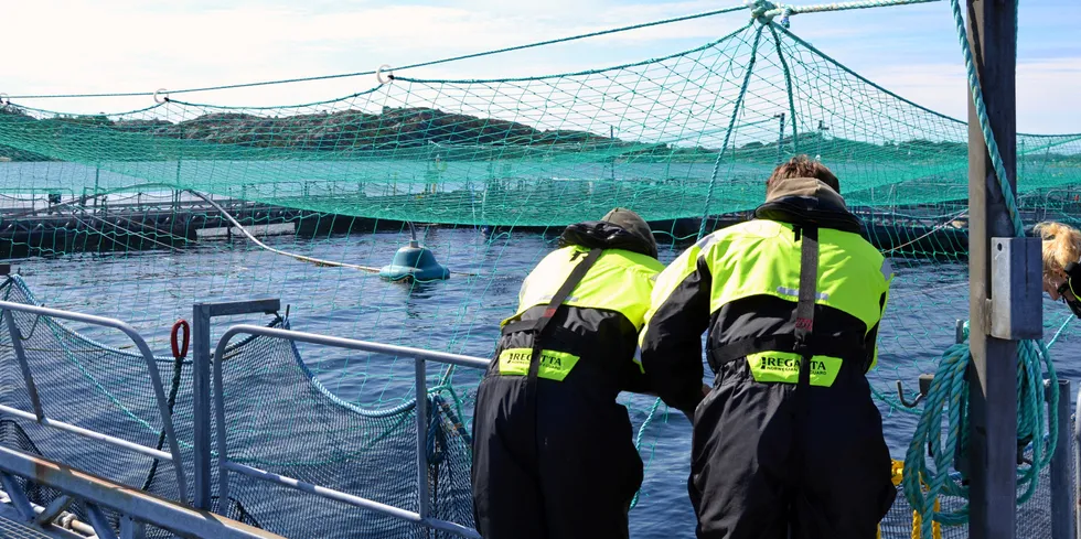 Engesund fiskeoppdrett får to nye på eiersiden.