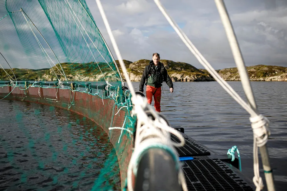 Firda Seafood er et av selskapene i Vestland som har fått nedtrekk i produksjonen - noe oppdrettsgründer Ola Braanaas protesterer kraftig mot.