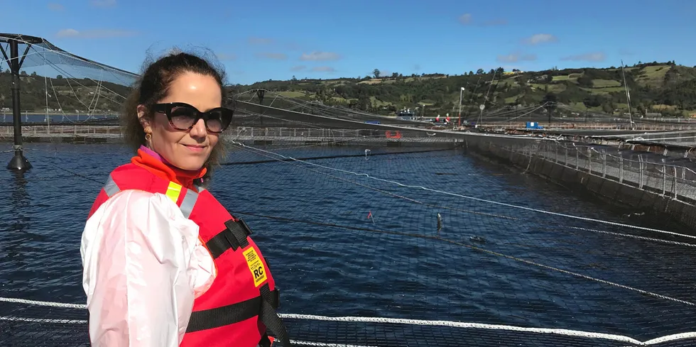 Martha Kold Bakkevig er styreprofesjonell og styreleder i blant annet Lingalaks og Ænes Inkubator. Hun er ikke sikker på om kjønnskvotering i aksjeselskaper er veien å gå.