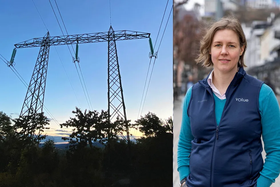 – Flytbasert er viktig for prisdannelsen, men det er tross alt bare én av faktorene i ligningen, sier analytiker i Volue Insight, Gro Klæboe.